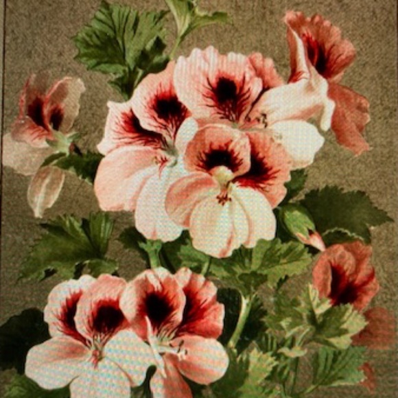 1960's Three Strand Bead Necklace - Picture 7 of 7